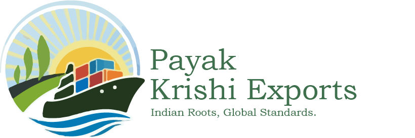 cropped cropped logo 1.png 1.png